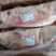 肋排羊排冷冻商用生鲜新鲜内蒙古烧烤食材国产羔羊专用