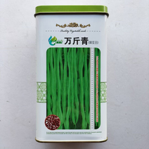 万斤青无筋豆种子，早熟品种，嫩绿色种子包邮