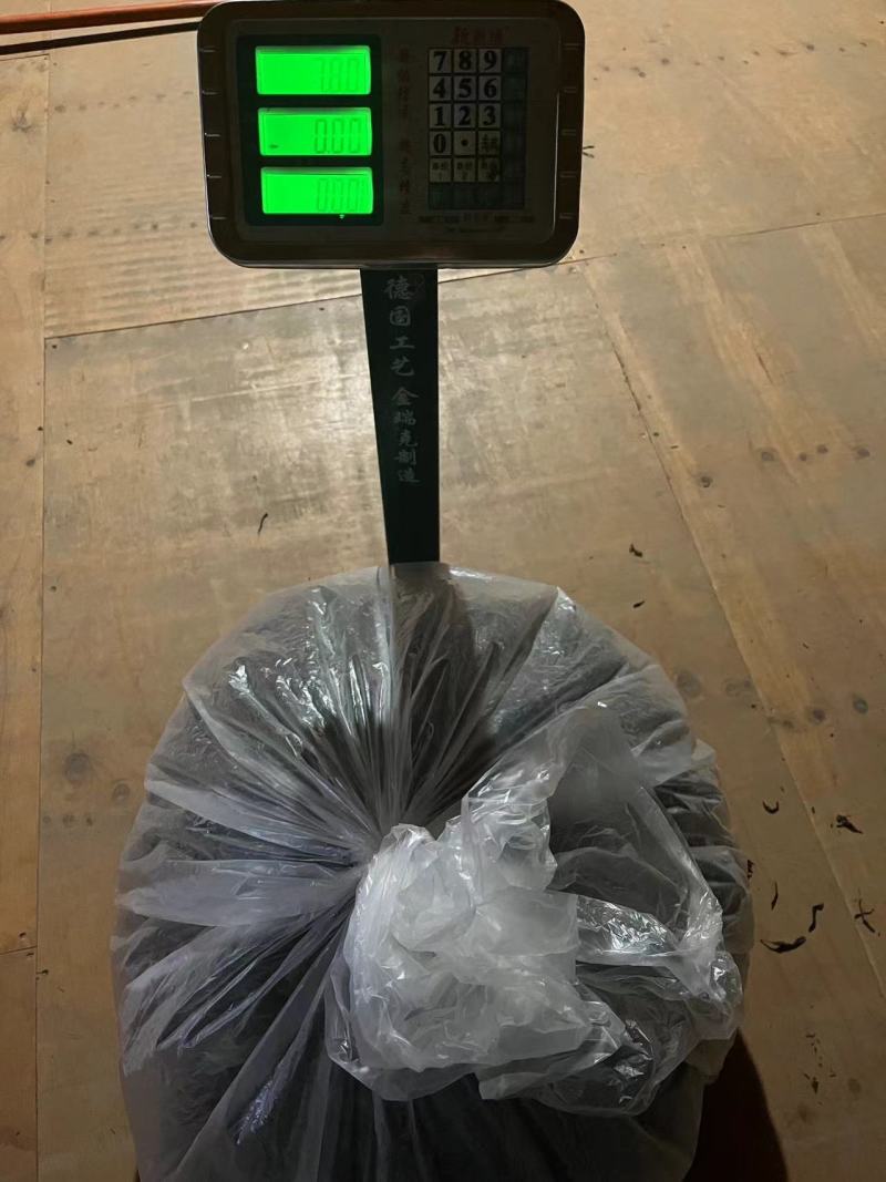 忙肺古树單株