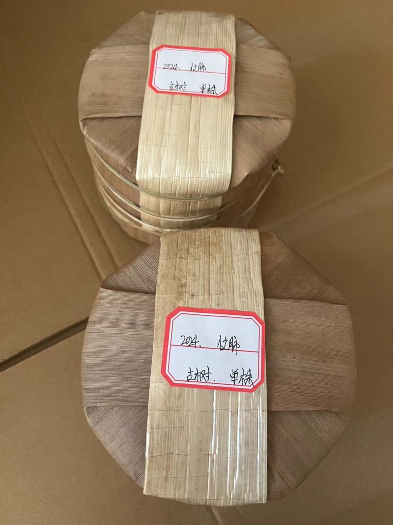 忙肺古树單株