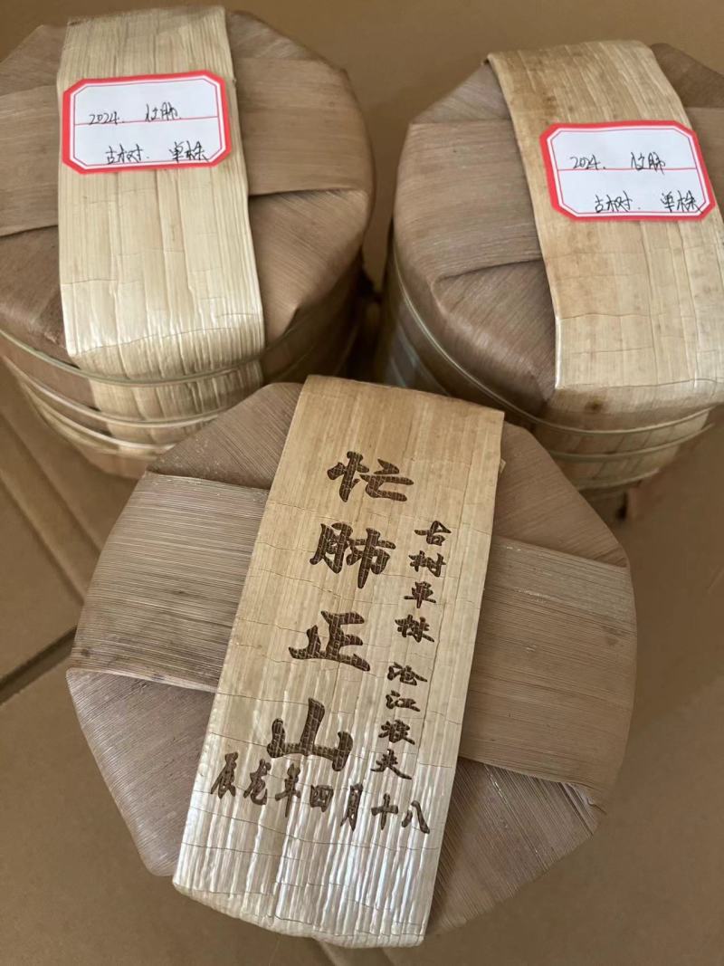忙肺古树單株