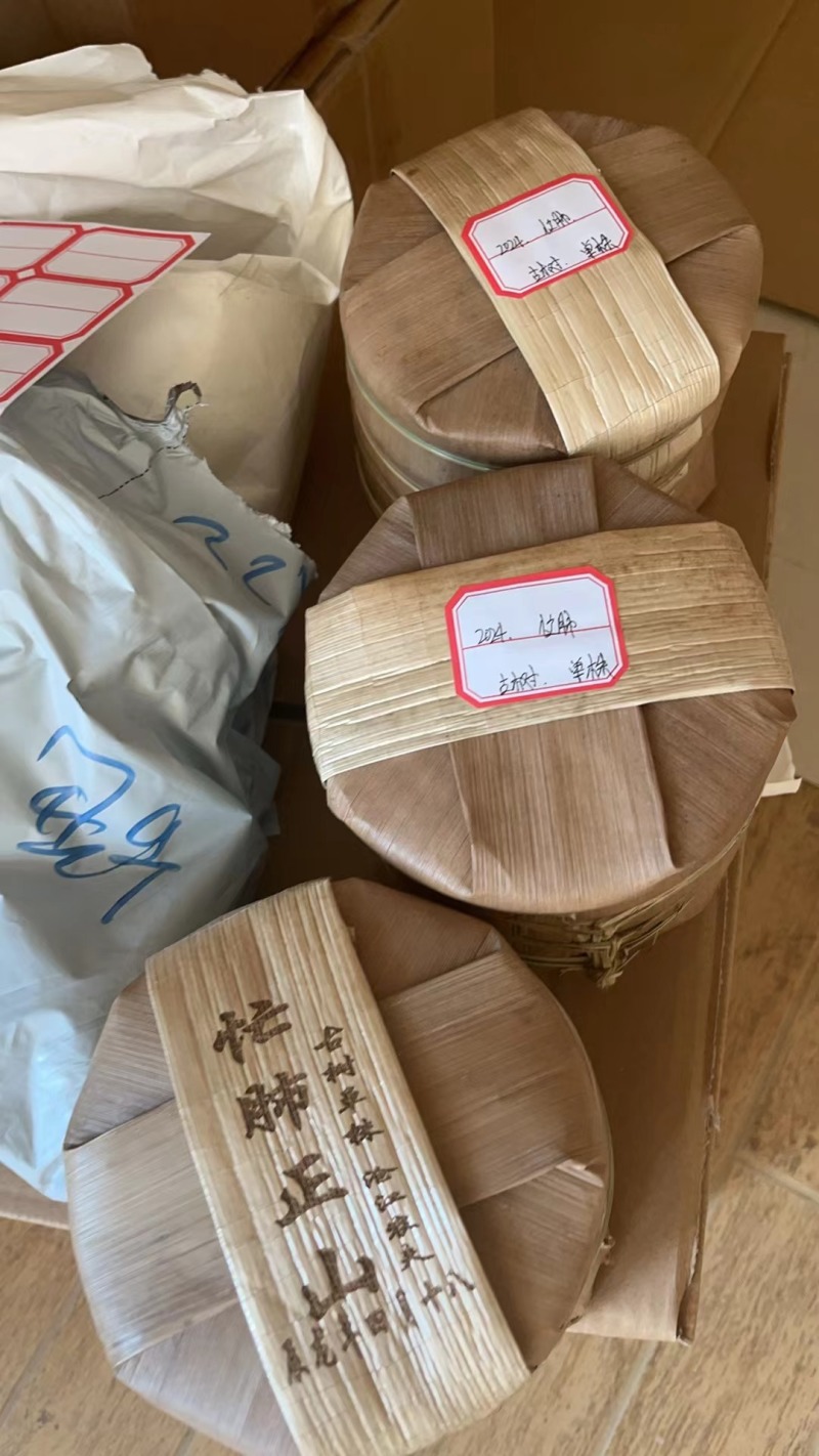 忙肺古树單株