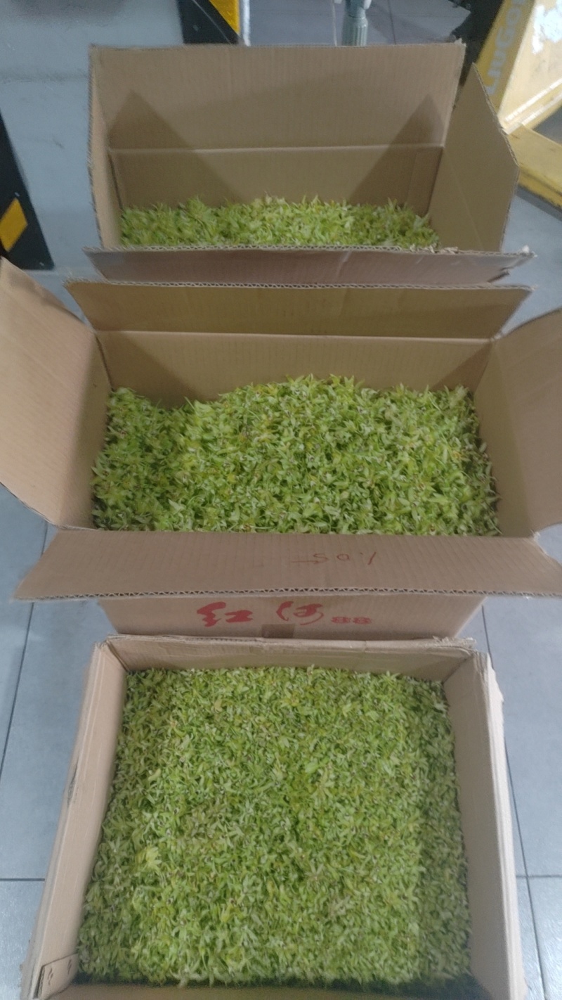 铁皮石斛鲜花爆炒煎鸡蛋泡茶药食同源