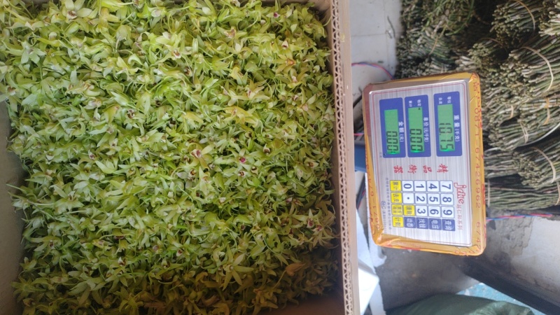 铁皮石斛鲜花爆炒煎鸡蛋泡茶药食同源