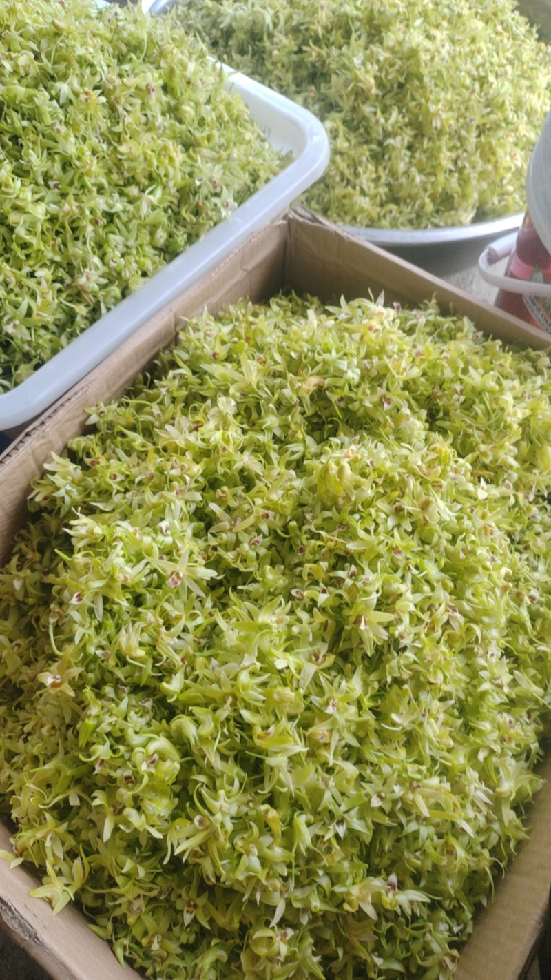 铁皮石斛鲜花爆炒煎鸡蛋泡茶药食同源