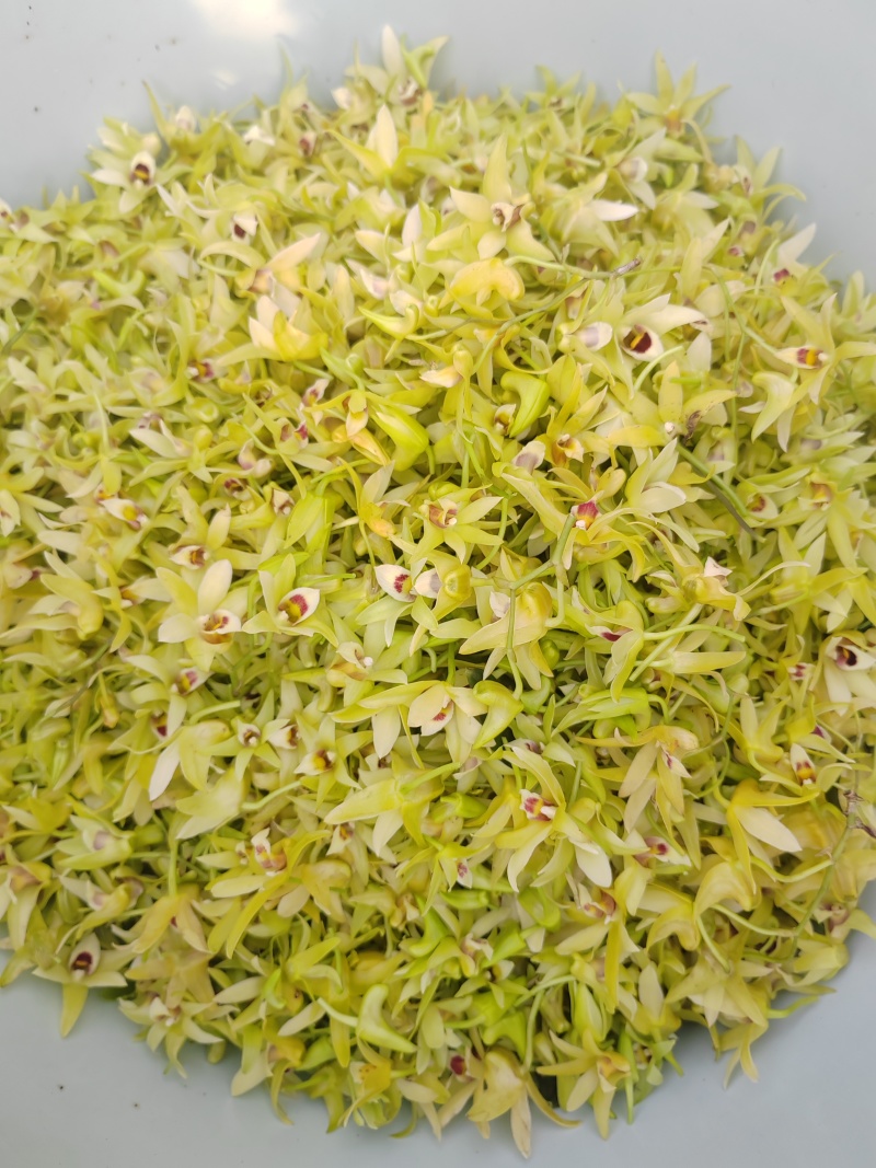 铁皮石斛鲜花爆炒煎鸡蛋泡茶药食同源