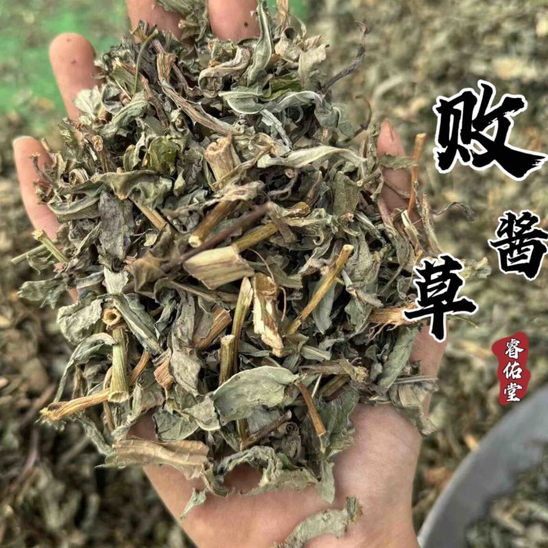 败酱草超干净实拍过筛货北败酱睿佑堂败酱