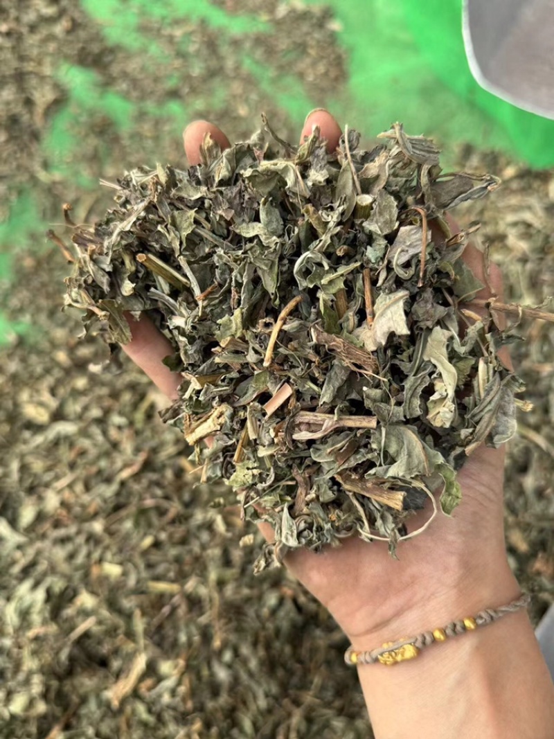败酱草超干净实拍过筛货北败酱睿佑堂败酱