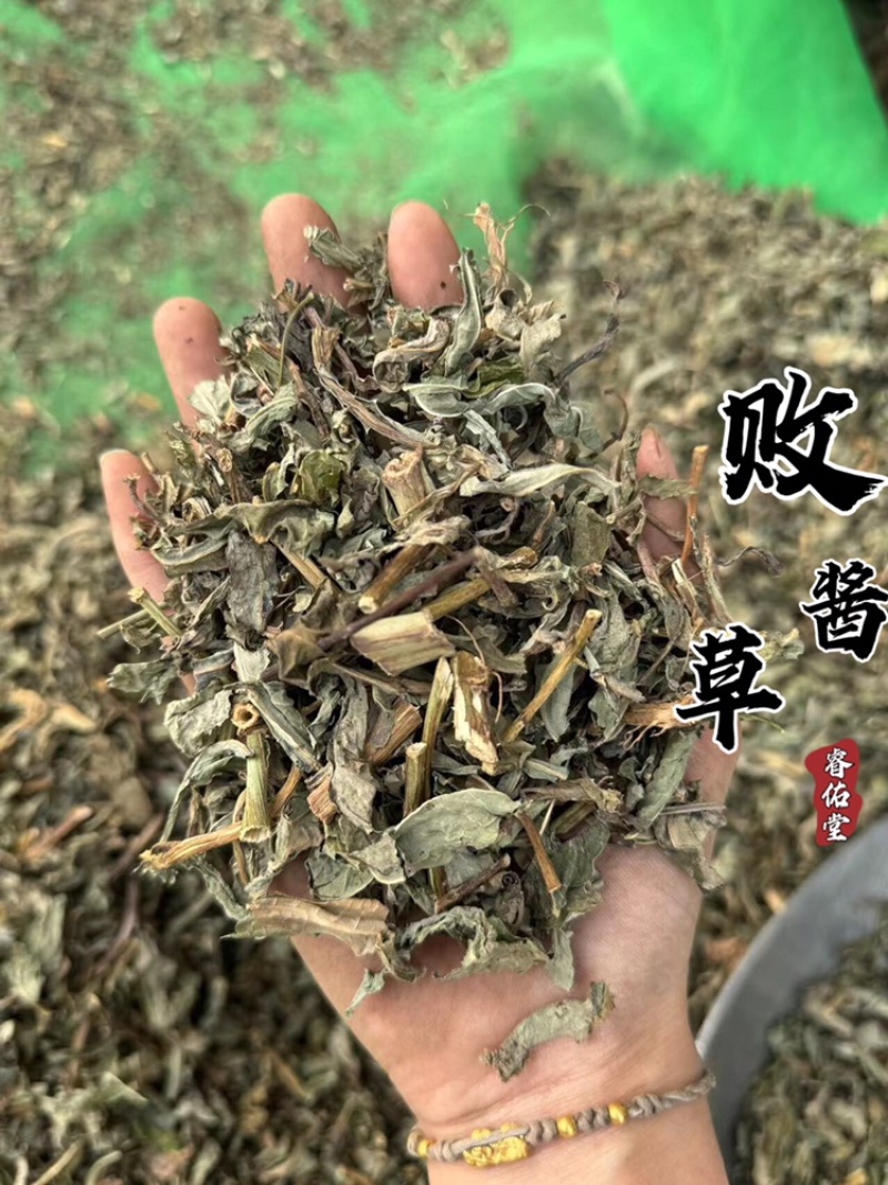 败酱草超干净实拍过筛货北败酱睿佑堂败酱