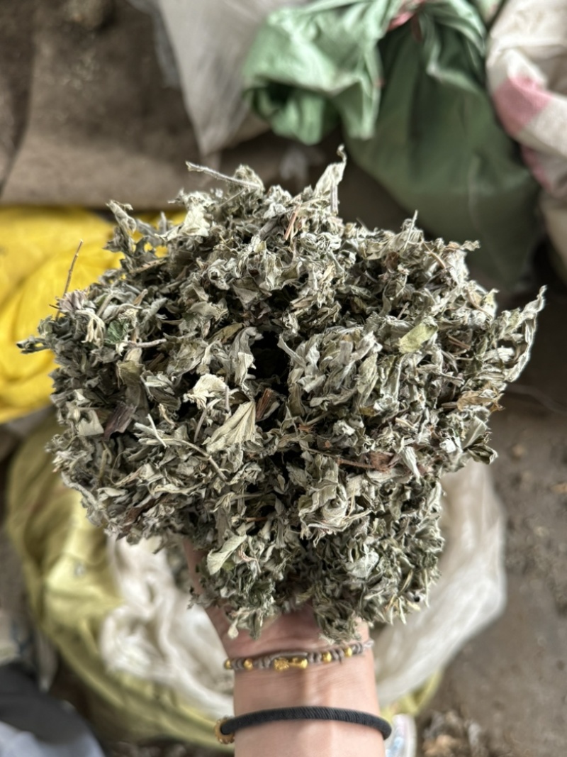艾叶艾草整个艾叶切片艾叶大艾叶实物拍摄泡脚艾叶