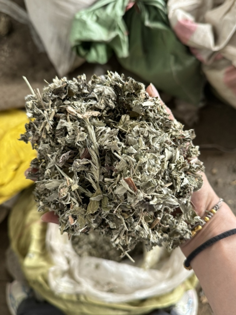 艾叶艾草整个艾叶切片艾叶大艾叶实物拍摄泡脚艾叶