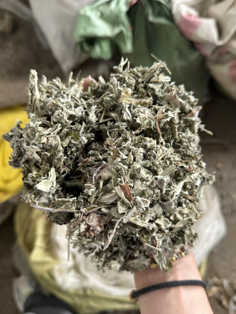 艾叶艾草整个艾叶切片艾叶大艾叶实物拍摄泡脚艾叶