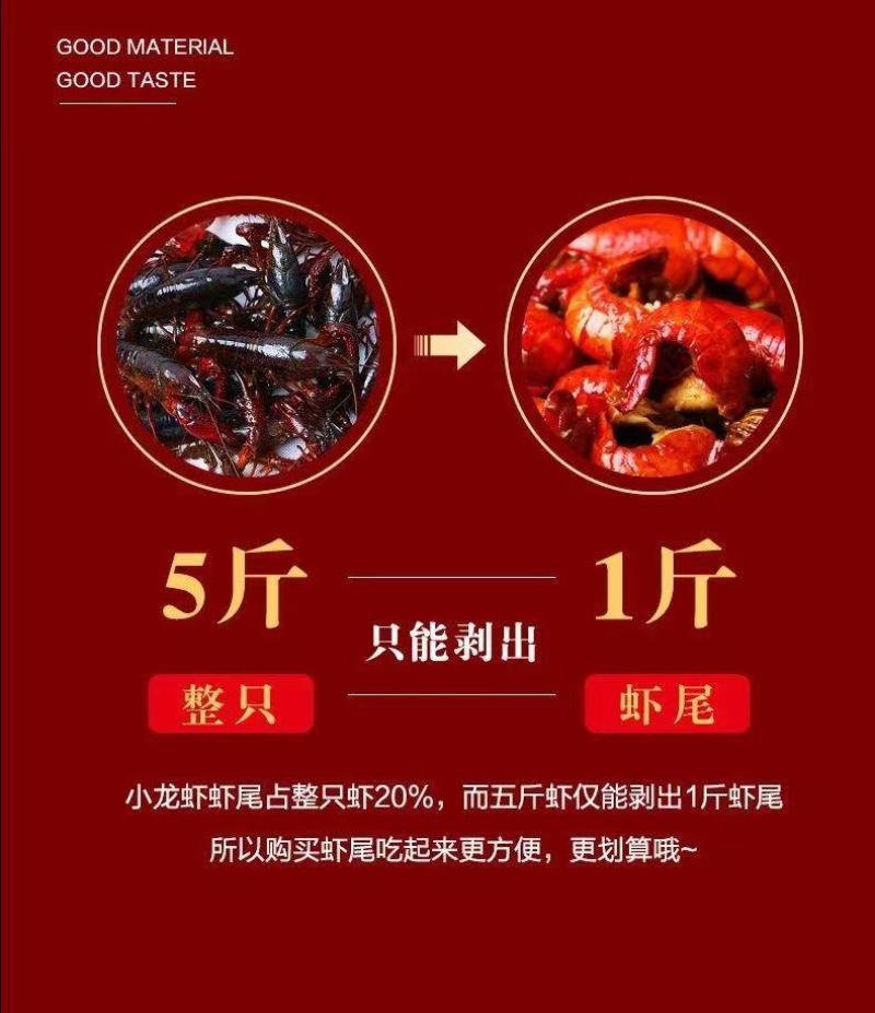 特级大号龙虾尾新鲜活虾去头冷冻龙虾尾净重无冰衣虾尾特大号特大