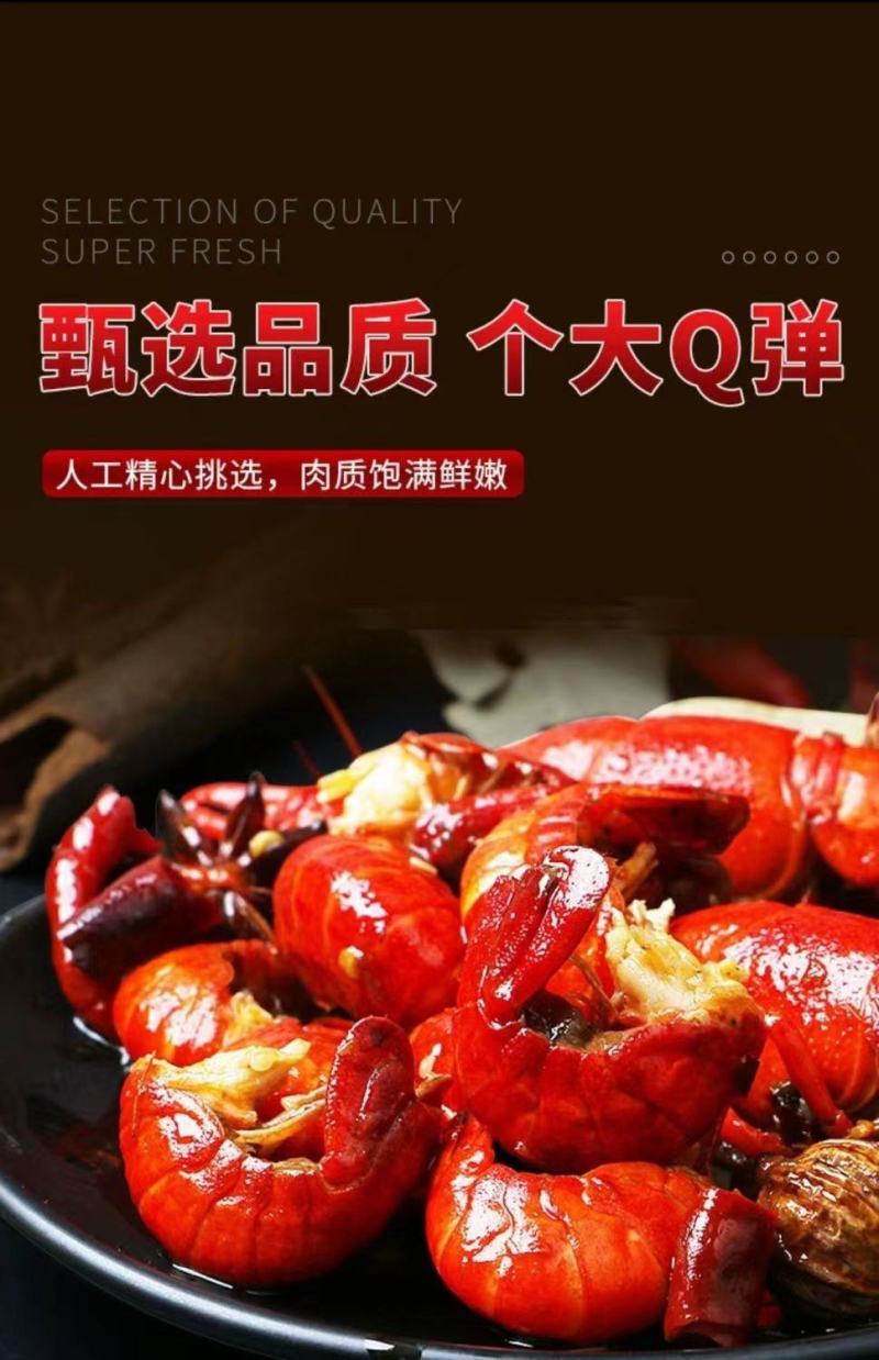 特级大号龙虾尾新鲜活虾去头冷冻龙虾尾净重无冰衣虾尾特大号特大