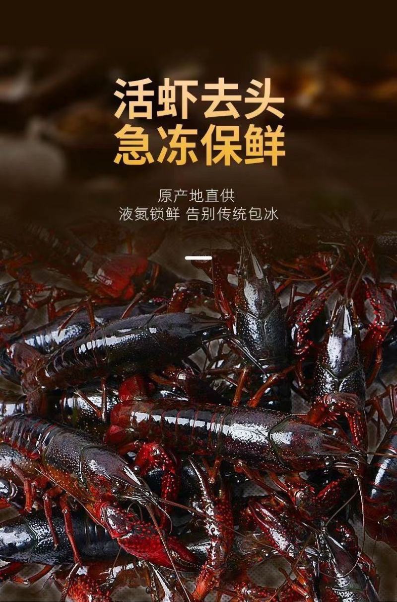 特级大号龙虾尾新鲜活虾去头冷冻龙虾尾净重无冰衣虾尾特大号特大
