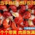 特级大号龙虾尾无冰衣冷冻小龙虾尾鲜活速冻龙虾尾