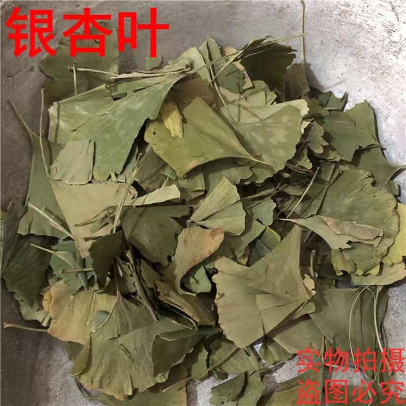 银杏叶颜色青过筛货实拍发货如图睿佑堂药材栈