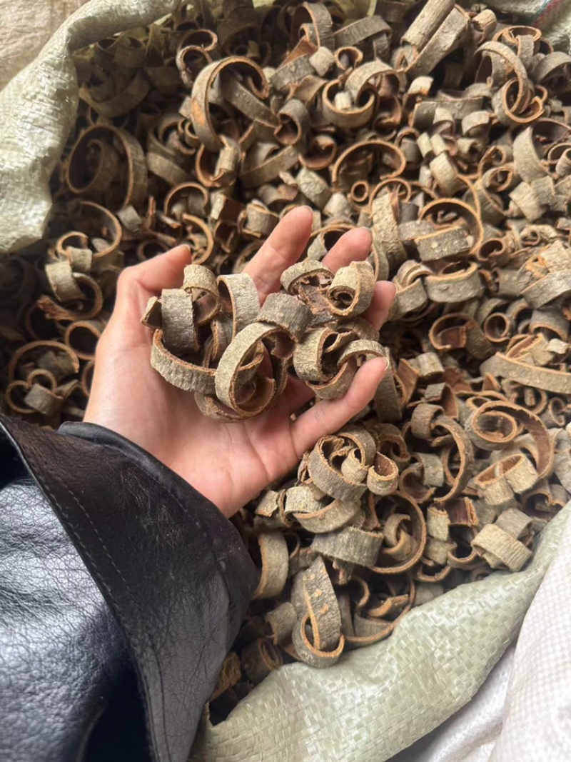 厚朴川朴睿佑堂批发厚朴实物拍摄厚朴无杂质
