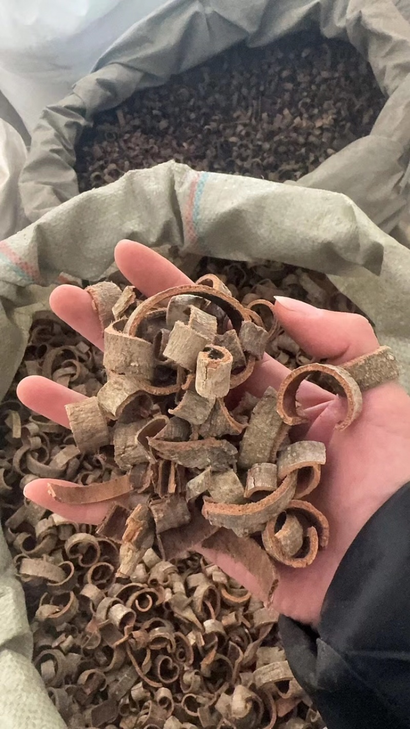 厚朴川朴睿佑堂批发厚朴实物拍摄厚朴无杂质