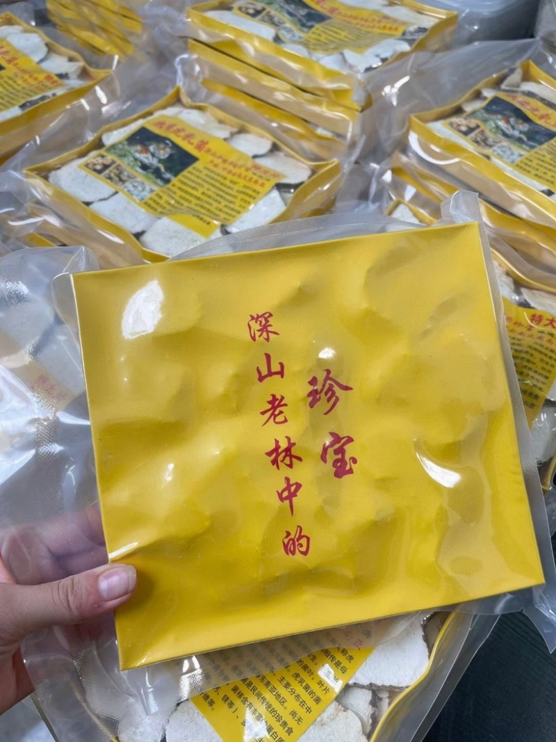 虎乳菌虎乳灵芝煲汤干货品质保证真空盒装虎奶片250g