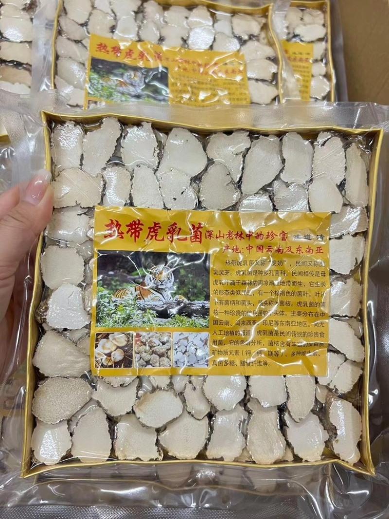 虎乳菌虎乳灵芝煲汤干货品质保证真空盒装虎奶片250g