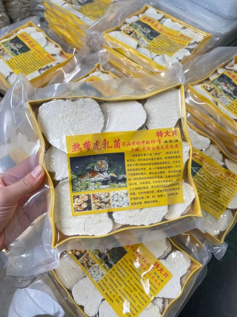 虎乳菌虎乳灵芝煲汤干货品质保证真空盒装虎奶片250g