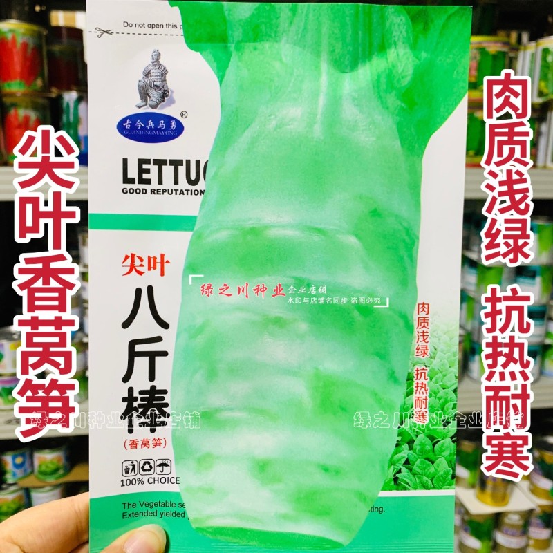 八斤棒尖叶香莴笋种子抗热耐寒尖叶莴笋莴苣种子抗高温四季蔬菜籽
