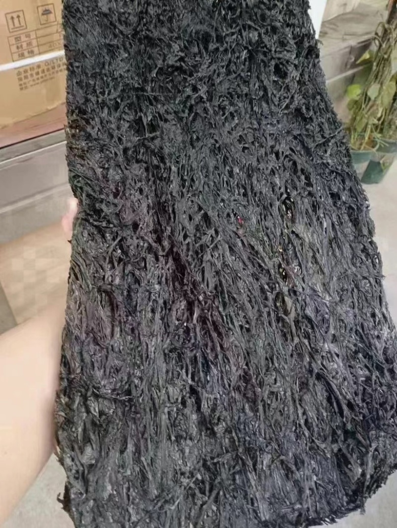 无沙紫菜展会地摊电商福建无沙紫菜园紫菜干海带方紫菜干