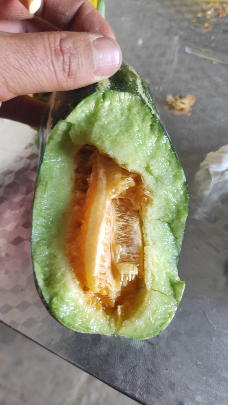 大荔博洋九号甜瓜大量上市，欢迎前来采购