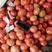 【优】普罗旺斯西红柿产地直发品质保证量大从优