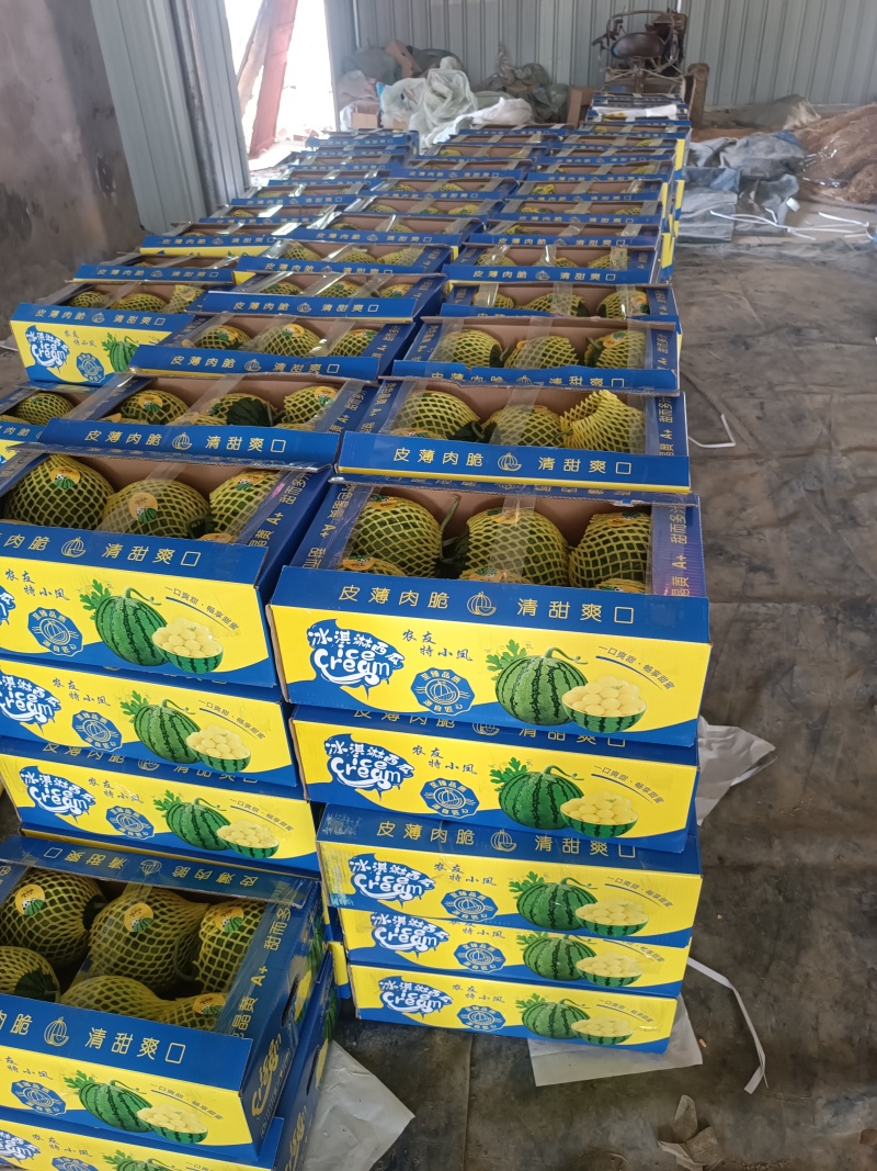【火热预售中】精品特小凤西瓜即将大量上市中