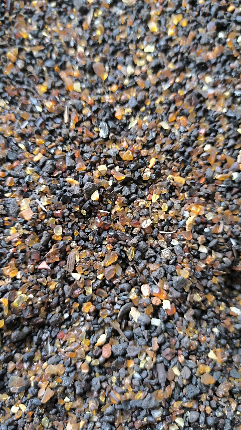 琥珀琥珀米中药材批发琥珀米质量保证量大从优