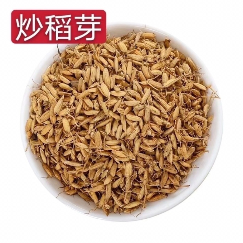 稻芽生稻芽炒稻芽两种规格实拍稻芽
