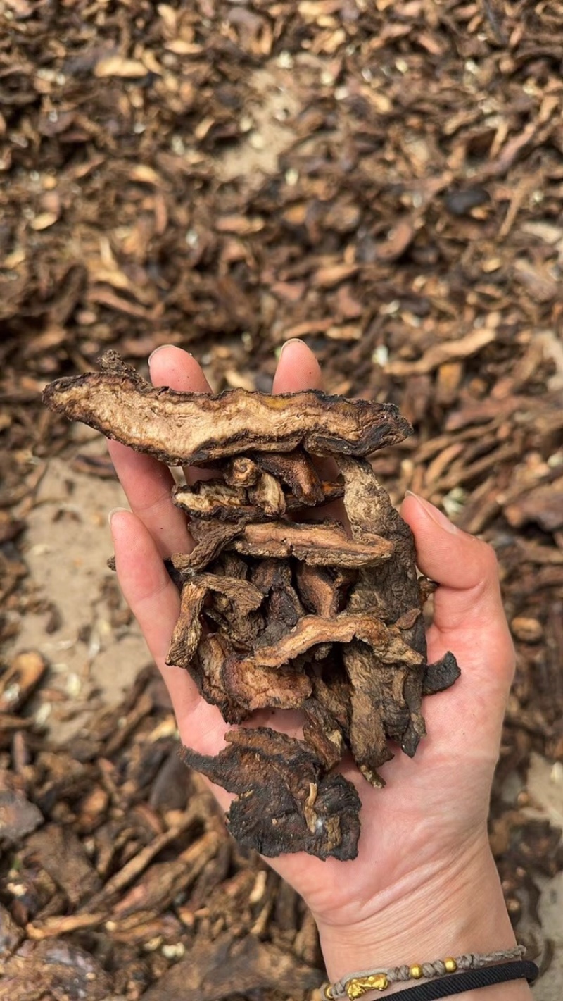 生地生地个生地片生地黄多种规格实拍现货