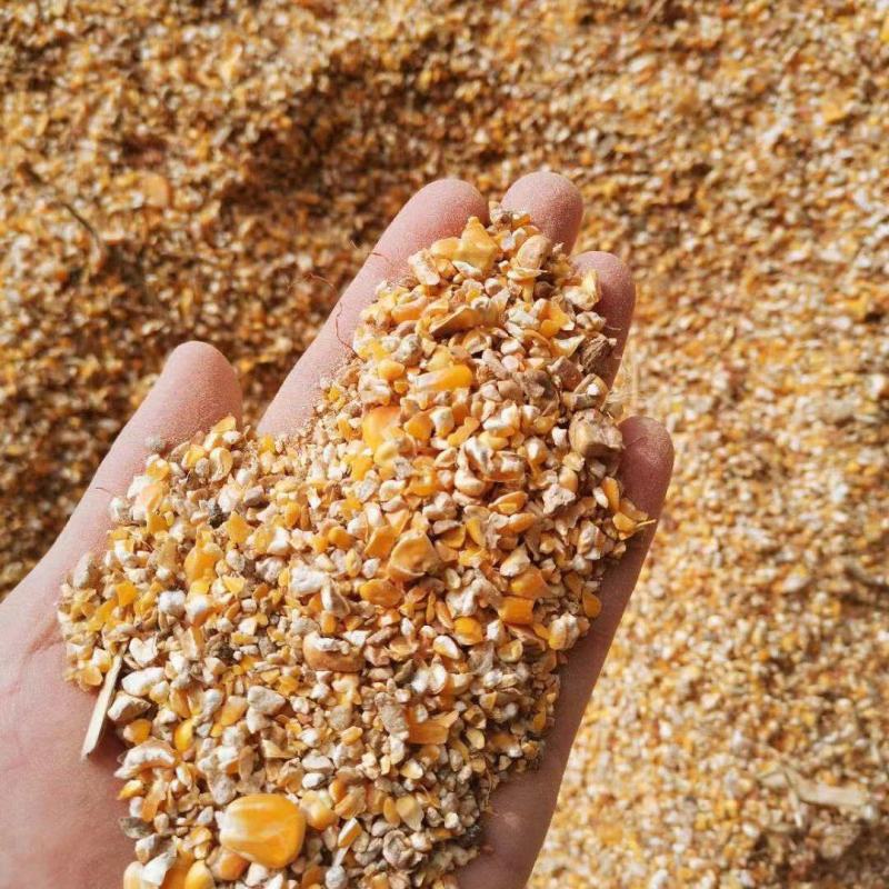 出售养殖碎玉米玉米漏玉米下脚料适合鸡鸭鹅养殖使用