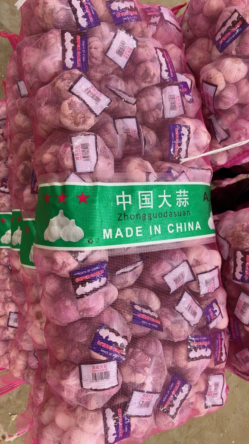 大蒜紫皮蒜白皮蒜金乡大蒜上市了一手货源价格实惠欢迎咨询