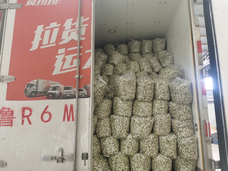 精品槐花大量上市，量大从优。电商平台，可做一件代发。