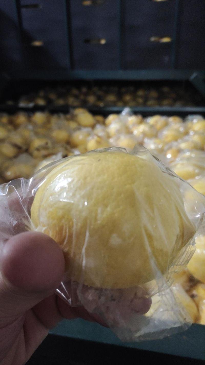 四川安岳黄柠檬尤力克柠檬2~2.6两大量供货