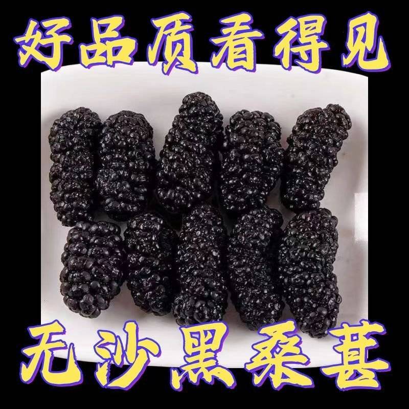 桑葚干一手货源欢迎电话咨询