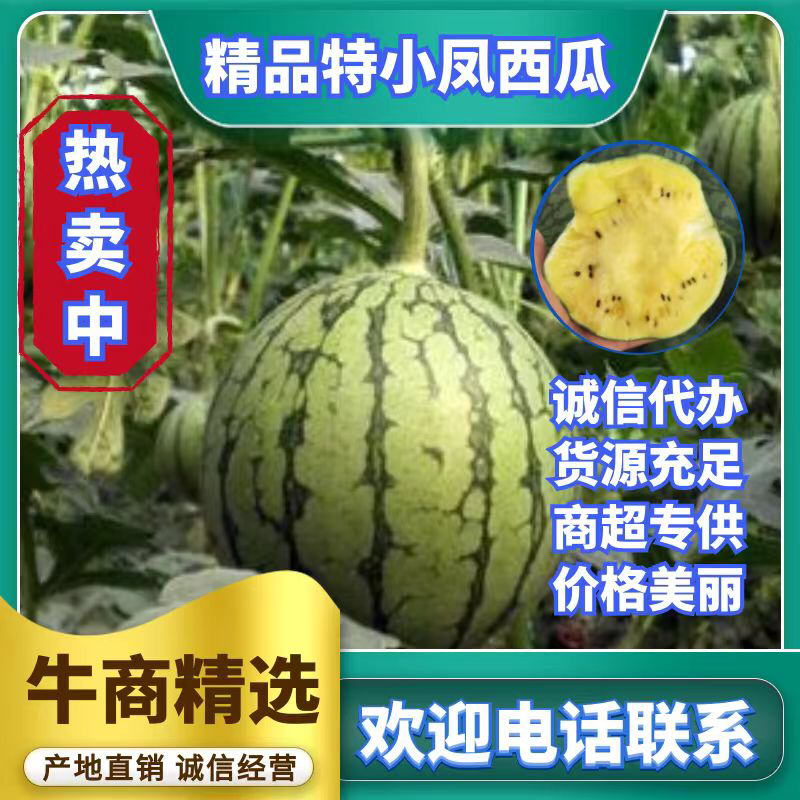 江苏特小凤西瓜全国发货品质保障口味佳江苏西瓜精品西瓜