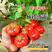 新疆吐鲁番沙瓤西红柿专业一件代发空运包邮