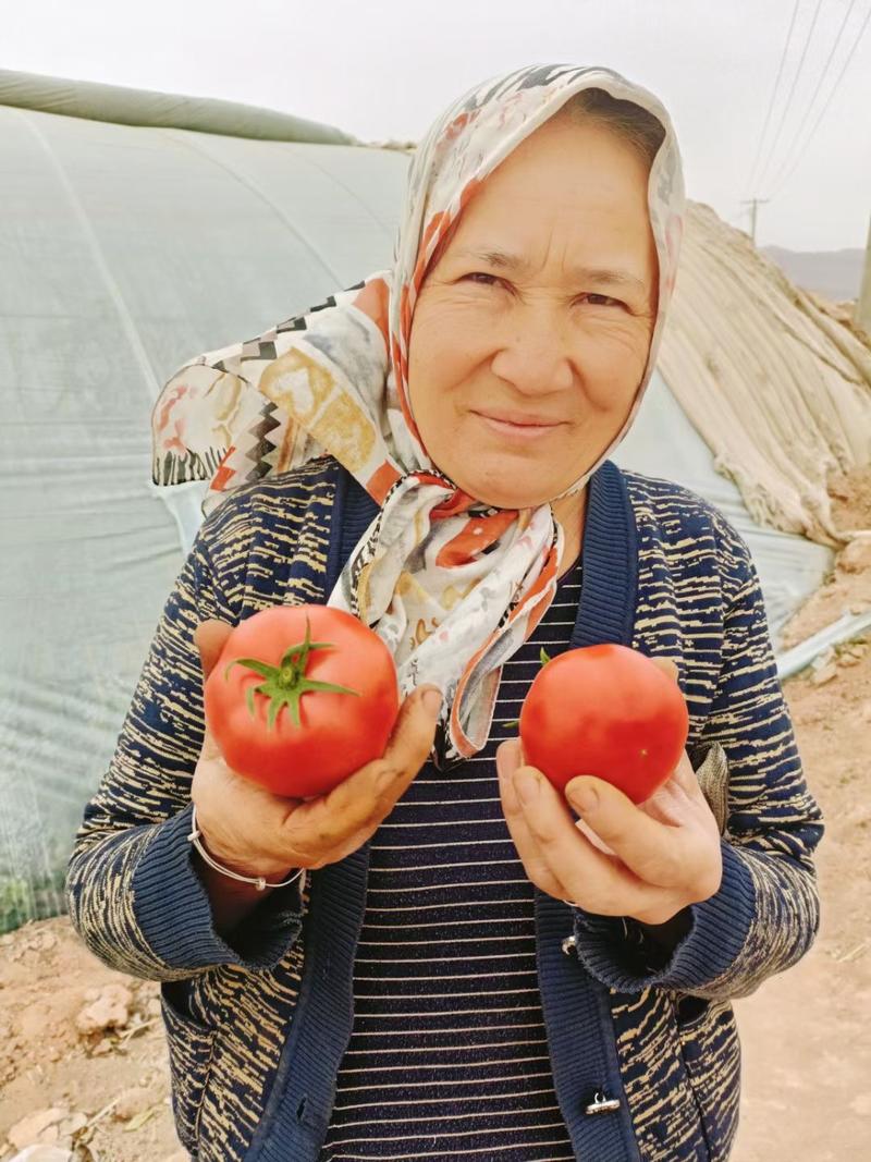 新疆吐鲁番沙瓤西红柿专业一件代发空运包邮