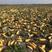 新疆产个人种2000亩南瓜籽葫芦籽大量有货