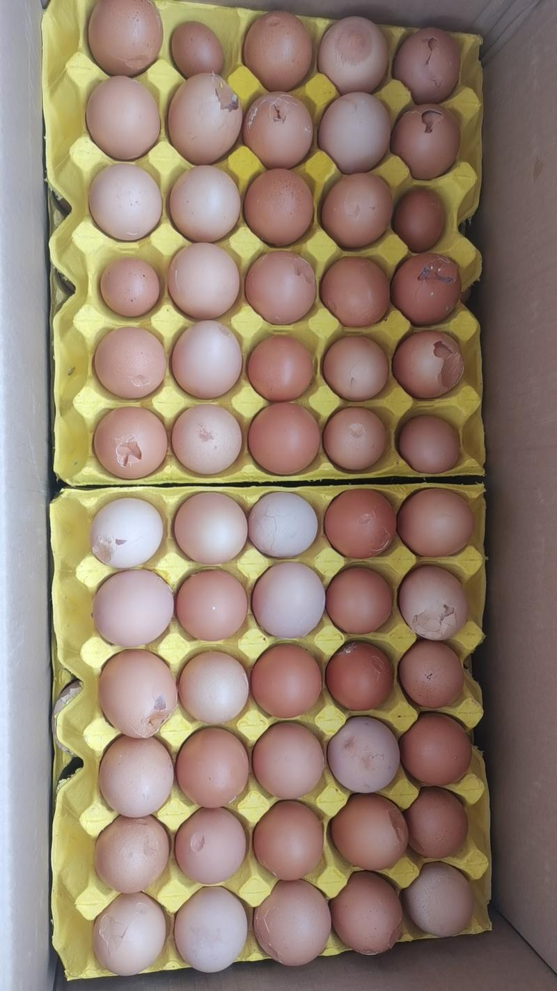 破蛋每天18件，40-43斤
