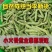 【特惠促销】南阳新鲜青豌豆量大从优基地直发一条龙服
