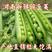 【特惠促销】南阳新鲜青豌豆量大从优基地直发一条龙服