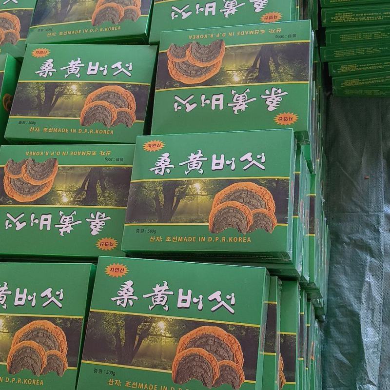 【牛商推荐】精品盒装桑黄一斤装可直接下单量大从优