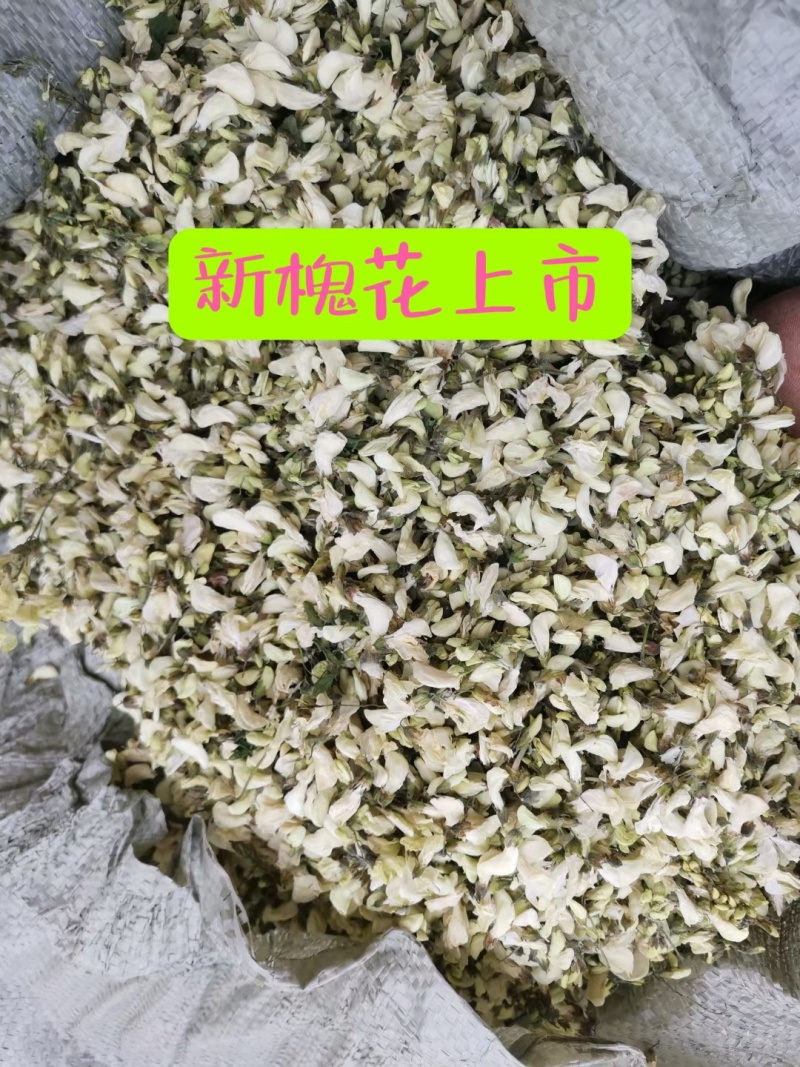 蔬菜槐花-洋槐花干洋槐花长期供货量大优惠支持代发包邮