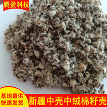 厂家批发棉籽壳食用菌栽培有机质禽畜养殖棉籽壳