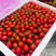 山东圣女果小番茄一手货源规格齐全全国代发欢迎来电